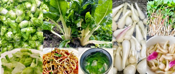 尚融 川渝地区“5大怪味菜”，外地人受不了，本地人：以前是喂猪的！