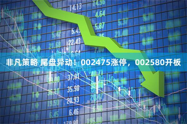 非凡策略 尾盘异动！002475涨停，002580开板